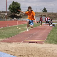 IMG 4530